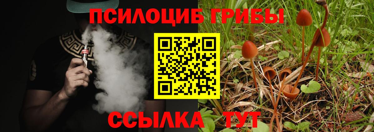 Псилоцибиновые грибы MAGIC MUSHROOMS Новый Уренгой