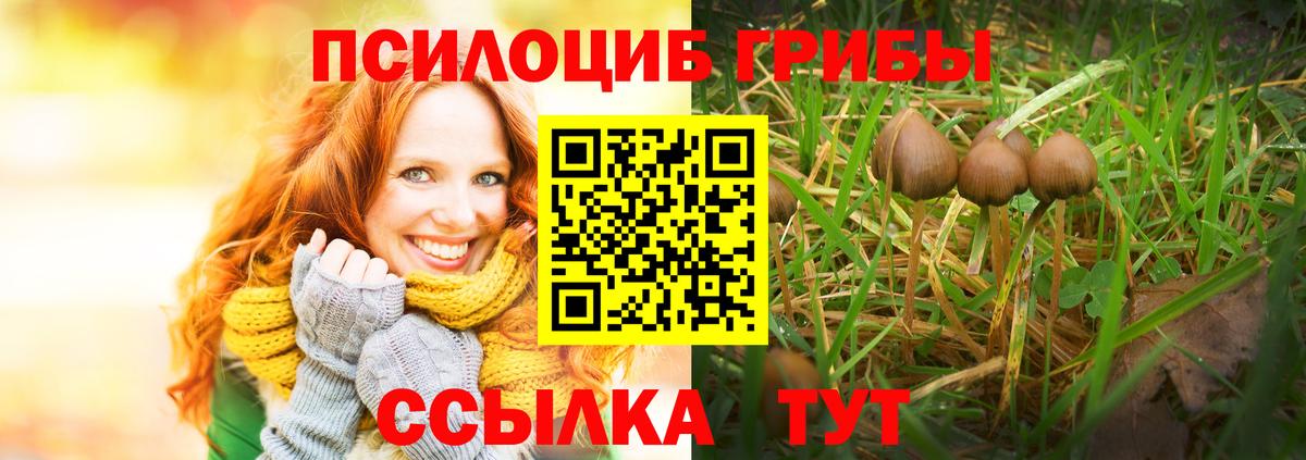 Галлюциногенные грибы Psilocybine cubensis  Вход с VPN  Галлюциногенные грибы Cubensis  Новый Уренгой 